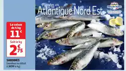 Auchan Sardines offre