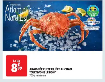 Auchan Araignée cuite filière auchan offre