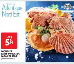 Auchan Coquilles saint-jacques de la baie de seine offre