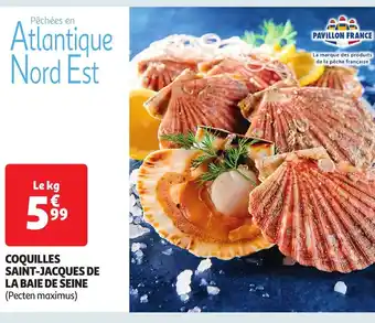 Auchan Coquilles saint-jacques de la baie de seine offre