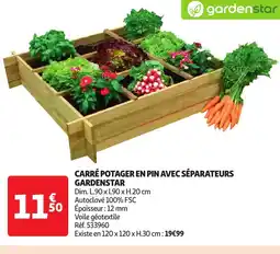 Auchan Carré potager en pin avec séparateurs offre