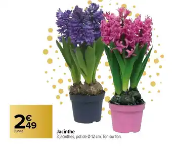 Carrefour Jacinthe offre