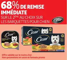 Auchan Supermarché CESAR Sur les barquettes pour chien offre