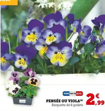 Super U Pensée ou viola offre