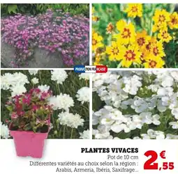 Super U Plantes vivaces offre