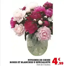 Super U U Pivoines de chine roses et blanches spécialiste offre