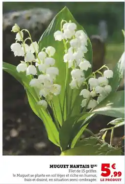 Super U U Muguet nantais offre