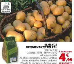 Super U Semence de pommes de terre offre