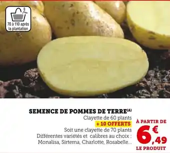 Super U Semence de pommes de terre offre