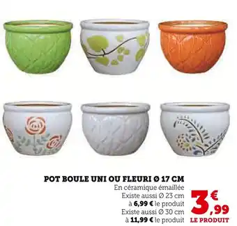 Super U Pot boule uni ou fleuri ø 17 cm offre