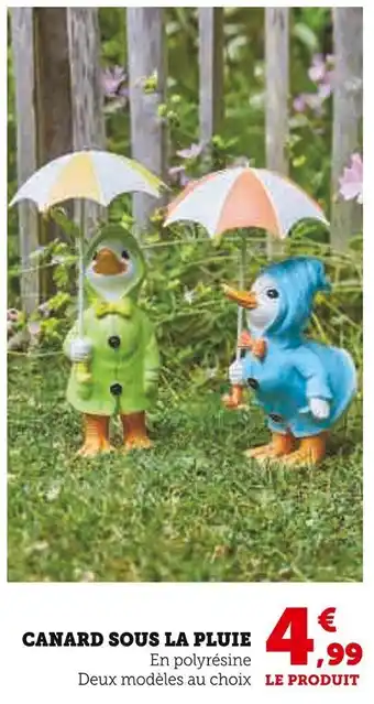 Super U Canard sous la pluie offre