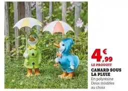 Hyper U Canard sous la pluie offre