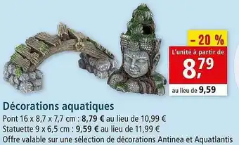 Maxi Zoo Décorations Aquatiques offre