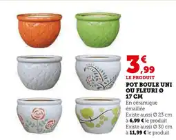 Hyper U Pot boule uni ou fleuri ø 17 cm offre