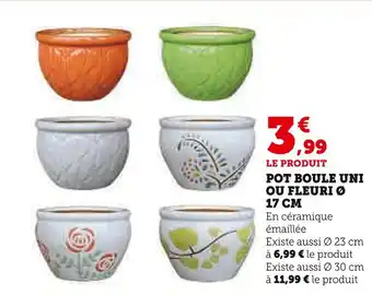 Hyper U Pot boule uni ou fleuri ø 17 cm offre