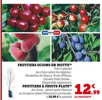 Hyper U Fruitiers scions en motte offre