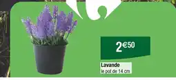 Carrefour Lavande offre