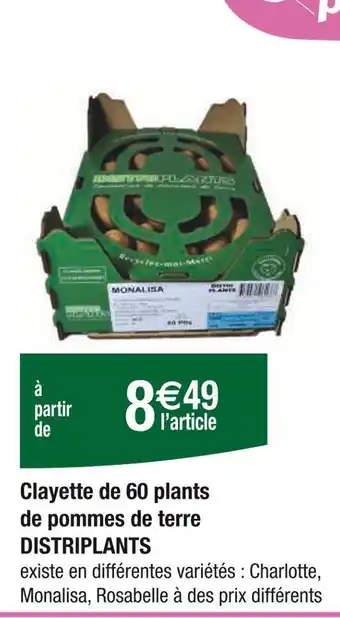 Carrefour DISTRIPLANTS Clayette de 60 plants de pommes de terre offre