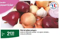 Carrefour Filet de bulbes potagers offre