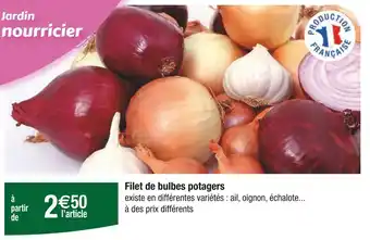 Carrefour Filet de bulbes potagers offre