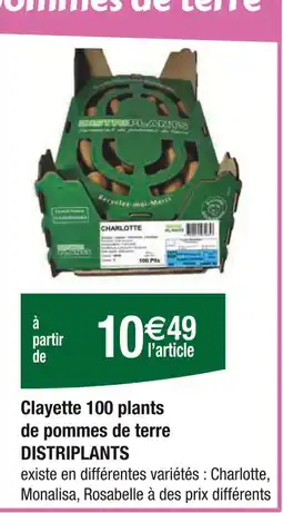 Carrefour Clayette 100 plants de pommes de terre offre