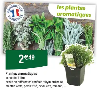 Carrefour Plantes aromatiques offre