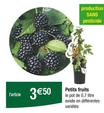 Carrefour Petits fruits offre