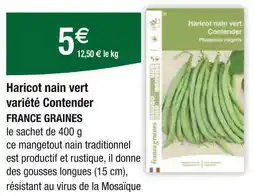 Carrefour FRANCE GRAINES Haricot nain vert variété Contender offre