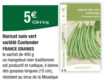 Carrefour FRANCE GRAINES Haricot nain vert variété Contender offre