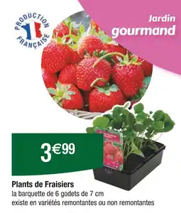 Carrefour Plants de Fraisiers offre