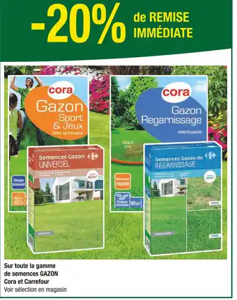 Carrefour Cora / Carrefour -20% de remise immédiate sur toute la gamme de semences gazon Cora et Carrefour offre