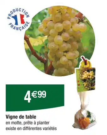 Carrefour Vigne de table offre