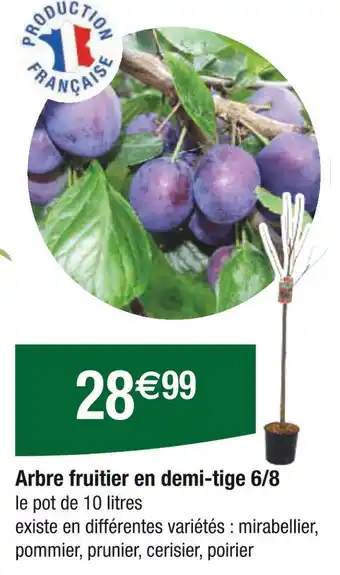 Carrefour Arbre fruitier en demi-tige 6/8 offre