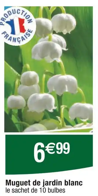 Carrefour Muguet de jardin blanc offre