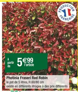 Carrefour Photinia Fraseri Red Robin offre