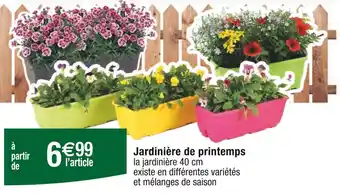 Carrefour Jardinière de printemps offre