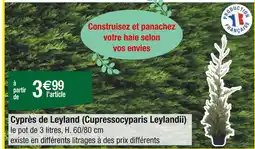 Carrefour Cyprès de Leyland (Cupressocyparis Leylandii) offre