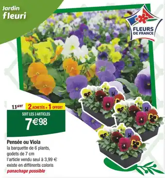 Carrefour Pensée ou Viola offre