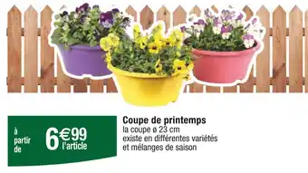 Carrefour Coupe de printemps offre