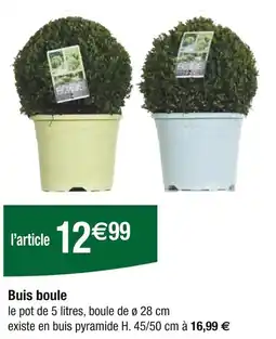 Carrefour Buis boule offre