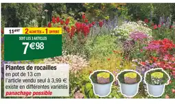 Carrefour Plantes de rocailles offre