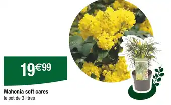 Carrefour Mahonia soft cares offre