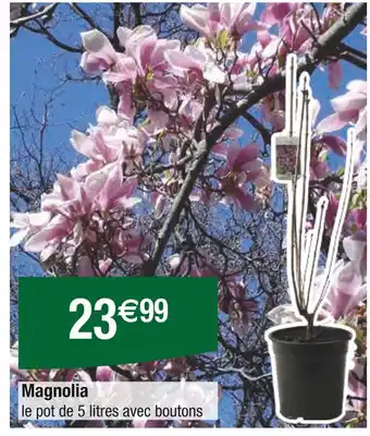 Carrefour Magnolia offre