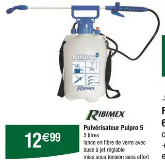 Carrefour RIBIMEX Pulvérisateur Pulpro 5 offre