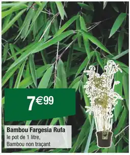 Carrefour Bambou Fargesia Rufa offre