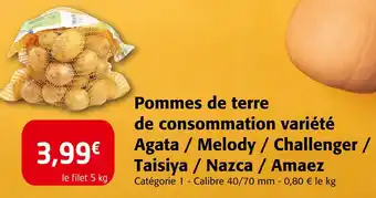 Colruyt Pommes de terre de consommation variété Agata / Melody / Challenger / Taisiya / Nazca / Amaez offre