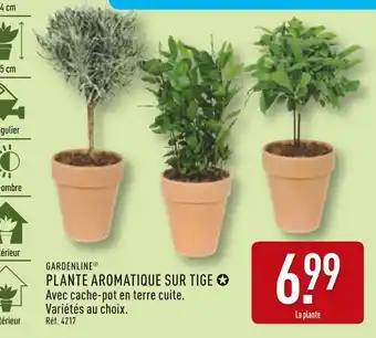 ALDI GARDENLINE Plante aromatique sur tige offre