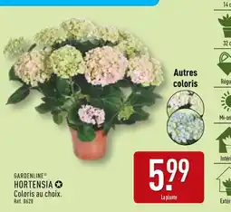 ALDI GARDENLINE Hortensia offre