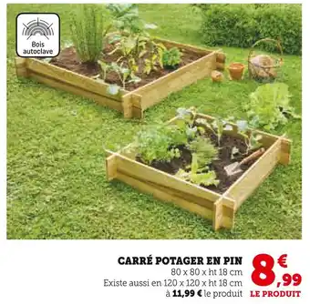 Super U Carré Potager en Pin offre