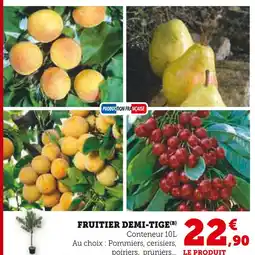 Super U Fruitier demi-tige offre